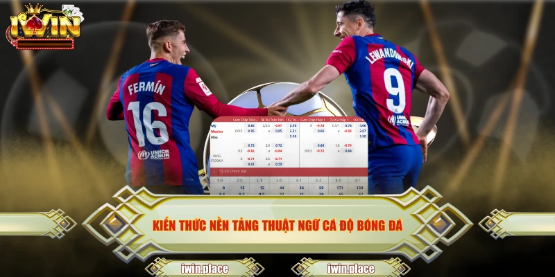 Kiến thức nền tảng thuật ngữ cá độ bóng đá