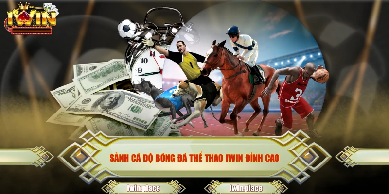 Sảnh cá độ bóng đá thể thao IWIN đỉnh cao